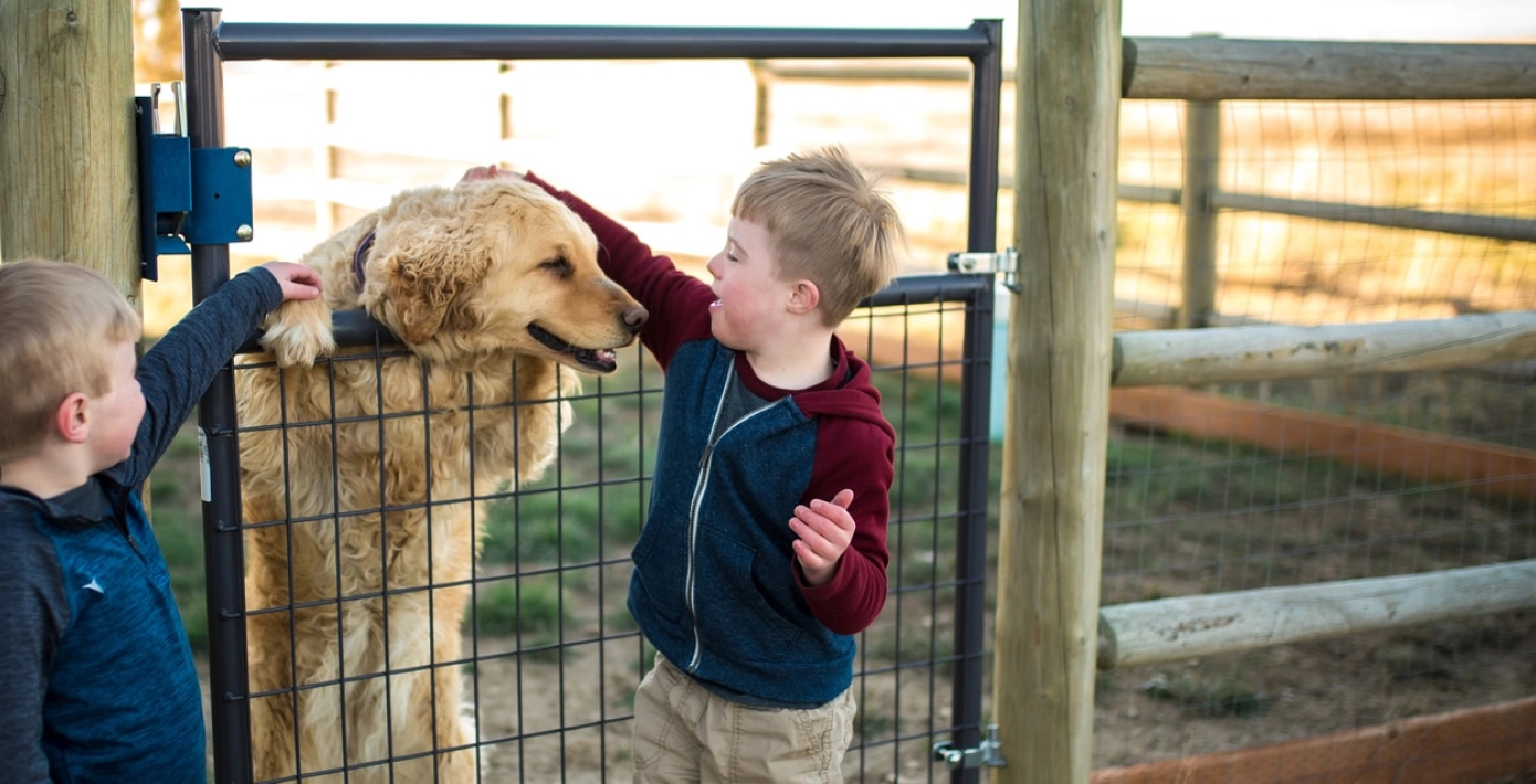 Boys petting dog